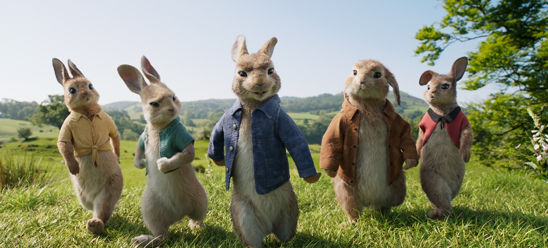 peter rabbit movie ile ilgili gÃ¶rsel sonucu